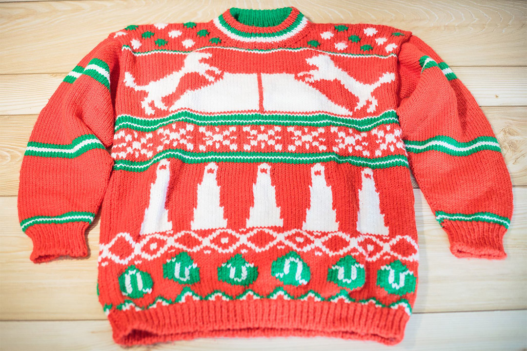 Flyball Christmas sweater